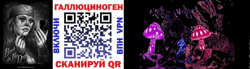 Псилоцибиновые грибы мицелий  Купить где  Энем 
